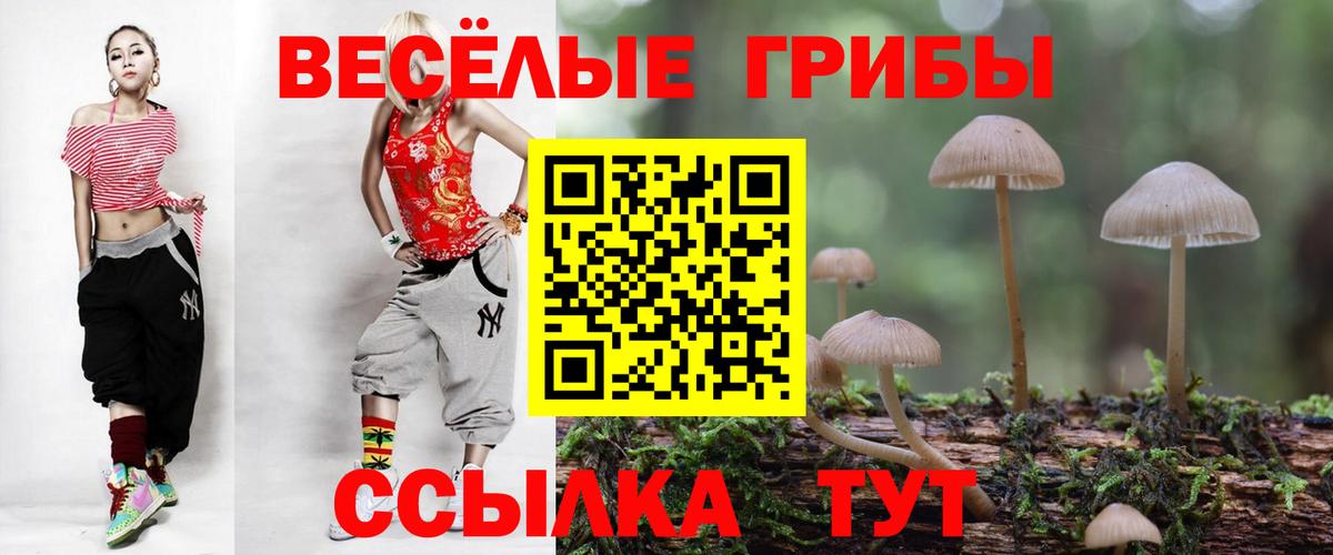 Псилоцибиновые грибы мухоморы  Вход с VPN  Троицк  Галлюциногенные грибы мицелий 