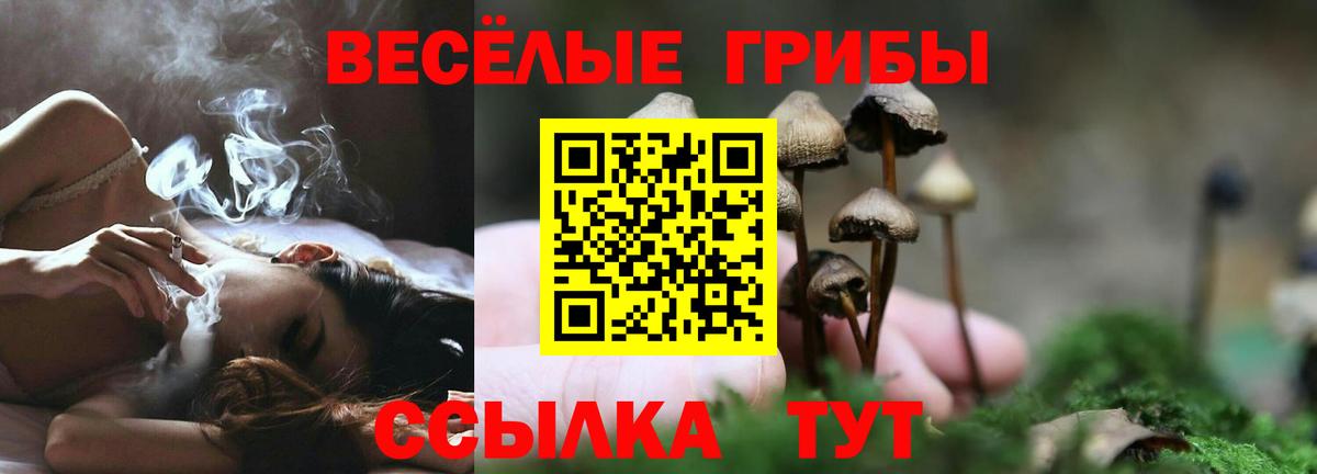 Псилоцибиновые грибы Cubensis Троицк